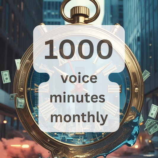 Pro - 1000 voice minutes monthly | NICS Voice AI — Your Human-Like AI Voice Assistant for Business